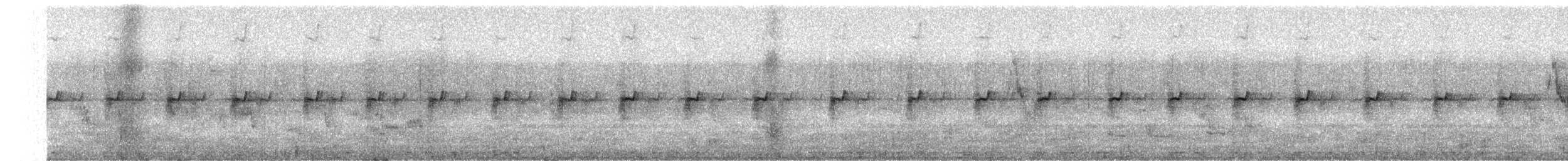 Chorlitejo Tricollar - ML619733444