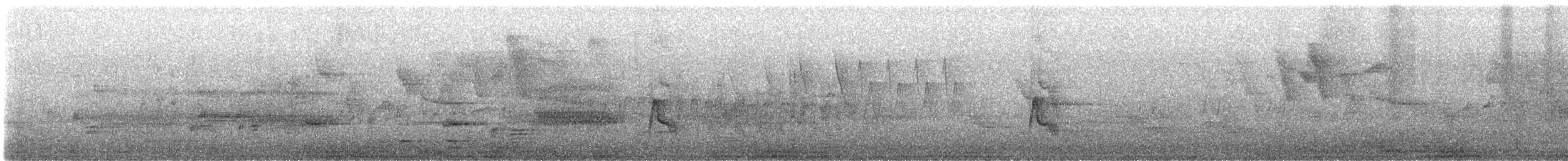 Alder Flycatcher - ML619734589