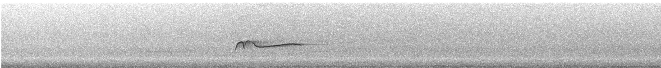 Eastern Wood-Pewee - ML619735135