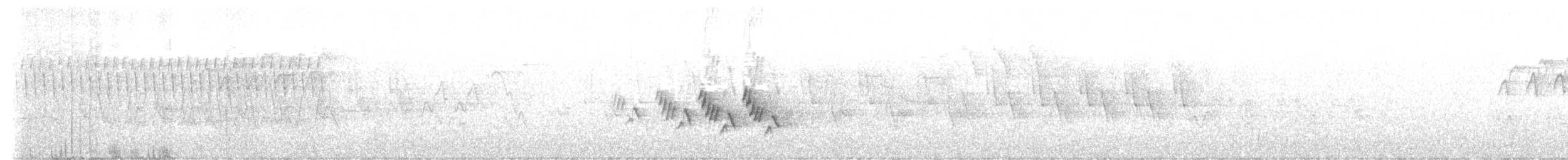 Черногорлая хвойница - ML619735683