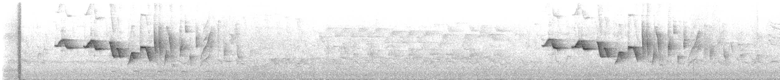 Paruline hochequeue - ML619735832