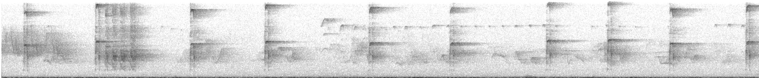 Pic chevelu (groupe villosus) - ML619737296