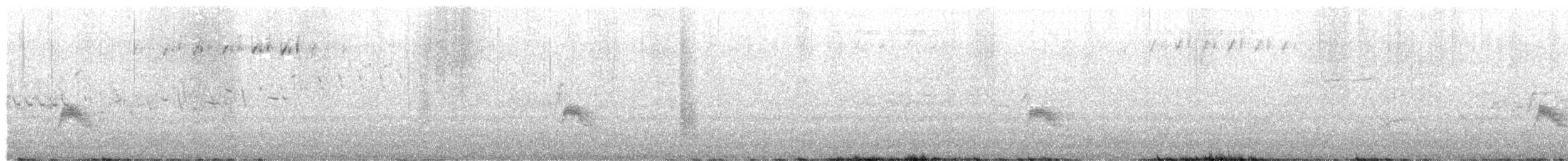 Пестрогорлый соловьиный дрозд - ML619738023