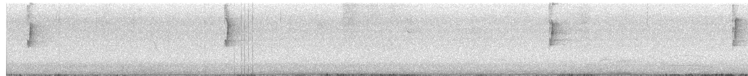 Todirostre à tête grise - ML619739007