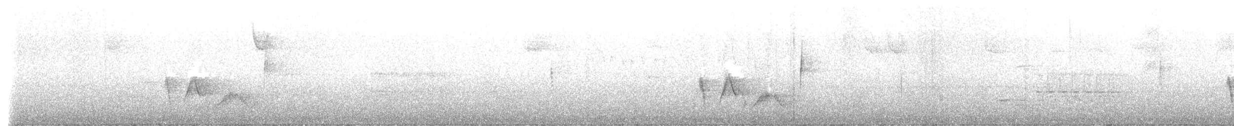 White-eyed Vireo - ML619739070