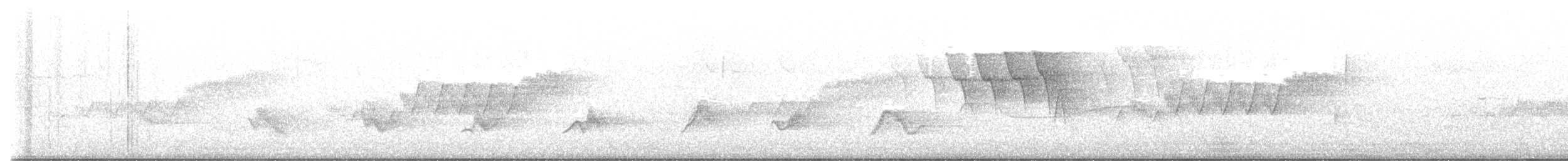 Cerulean Warbler - ML619739997