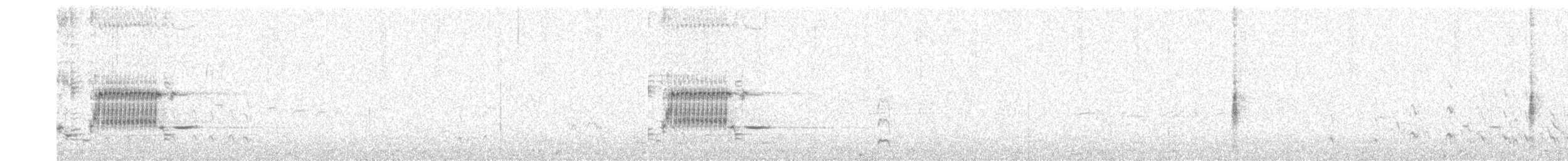 Graubrust-Strandläufer - ML619740155