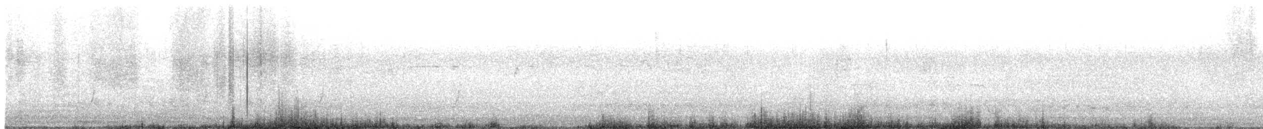 斑胸秧雞 - ML619741444