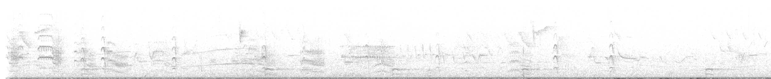 שחפית ים - ML619743311