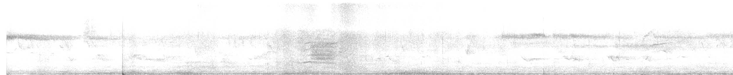 Steller's Jay (Southwest Interior) - ML619743379