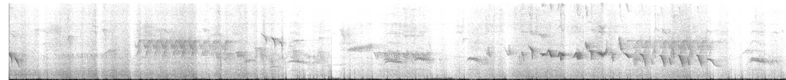 Weißbrustkleiber - ML619746521