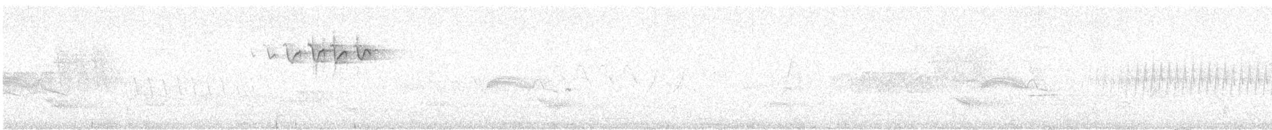 Bay-breasted Warbler - ML619747038