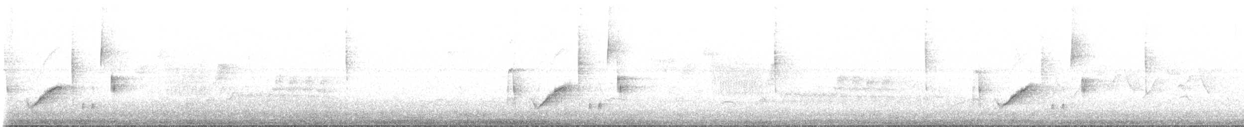 Голубокрылая червеедка - ML619747147