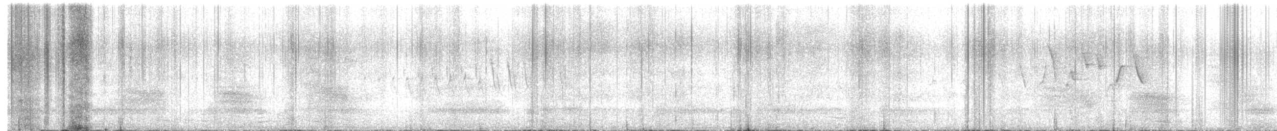 furuskrike (diademata gr.) - ML619750571