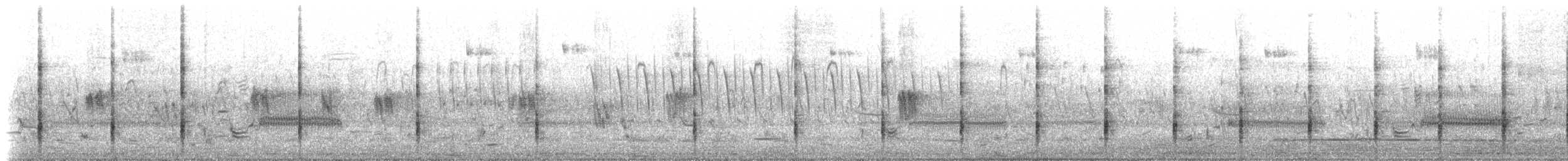 kongerikse (elegans) - ML619751941