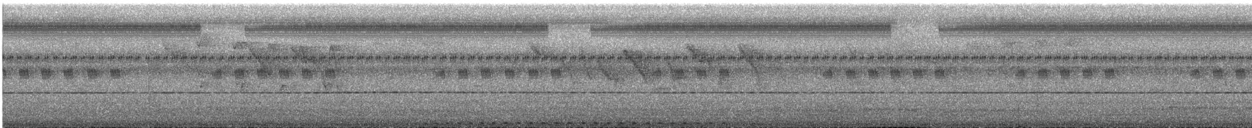 pigeon/dove sp. - ML619752538