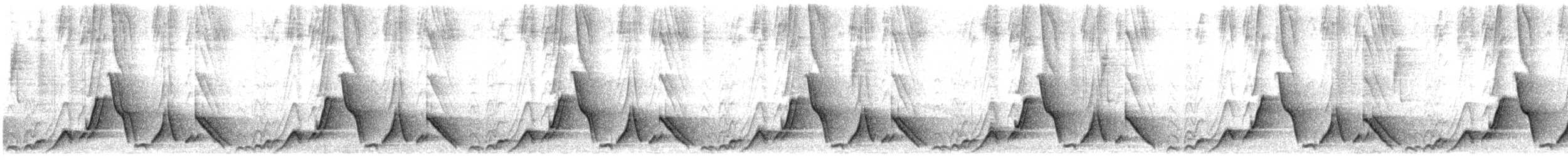 Kastanienrücken-Zaunkönig [euophrys-Gruppe] - ML619752723