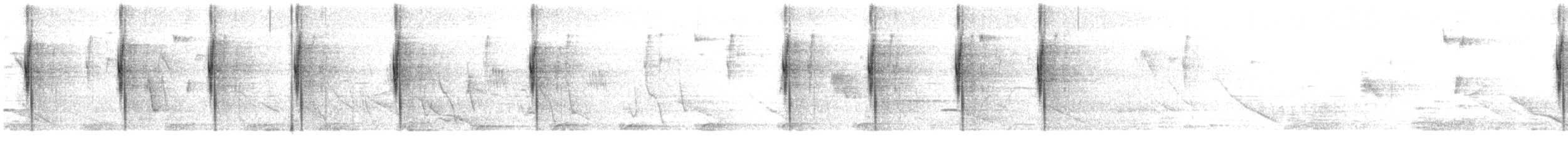 Colibri d'Anaïs - ML619752765