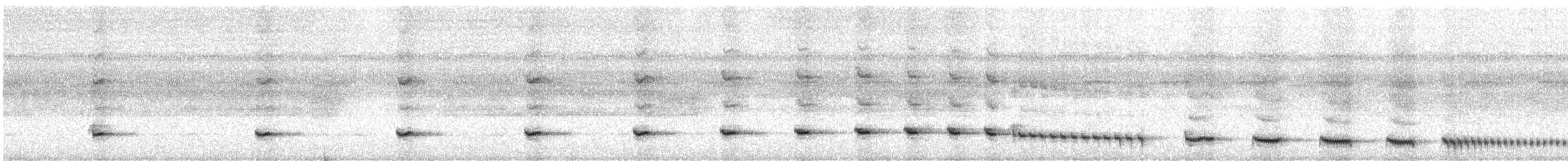 Small-billed Tinamou - ML619755439