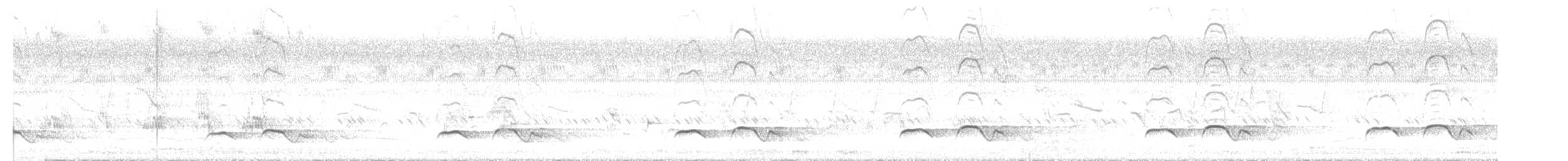 Зозуля білогорла - ML619756202