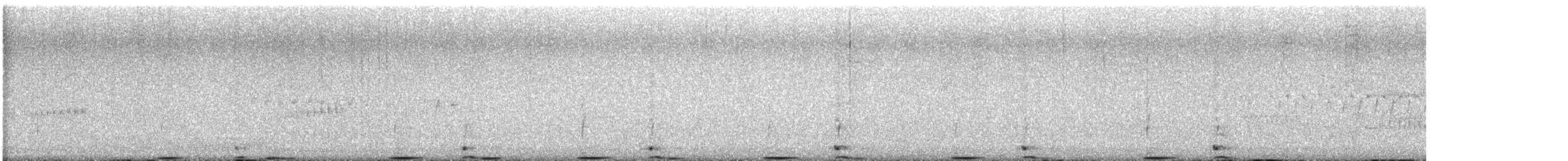 Txori zezen amerikarra - ML619757000