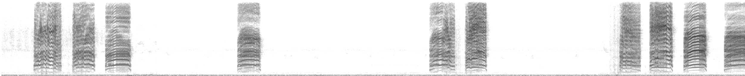 oransjenebbskogtrost (melpomene gr.) - ML619757584