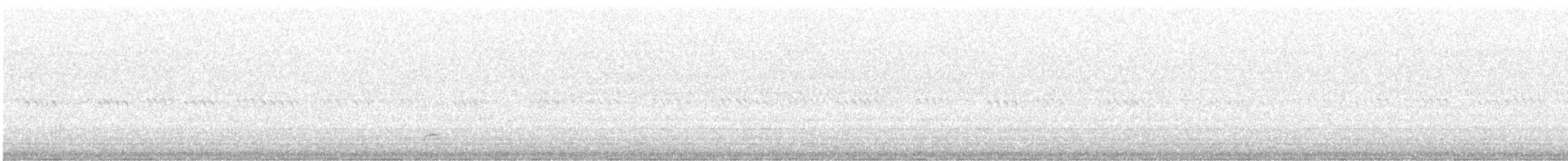 Black-crowned Night Heron - ML619757613
