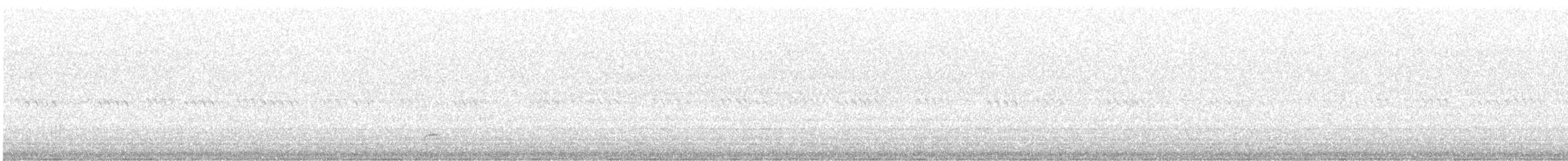 Black-crowned Night Heron - ML619757613