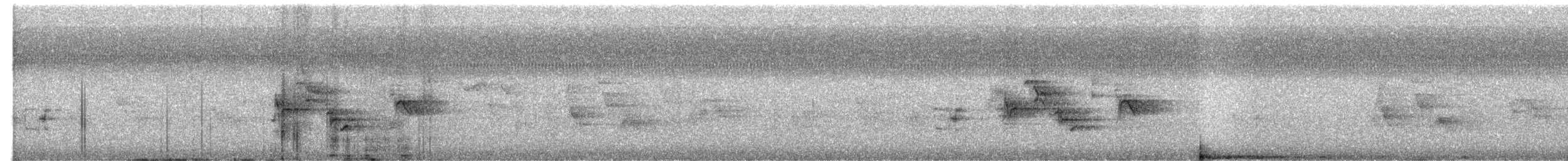 tøylesolitærtrost - ML619757753