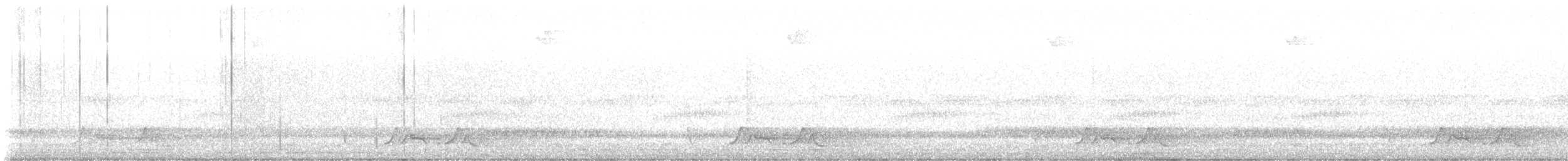 lelek karolinský - ML619757777