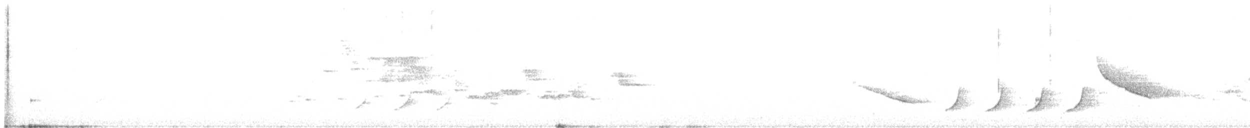 סבכון שחור-כיפה - ML619758871