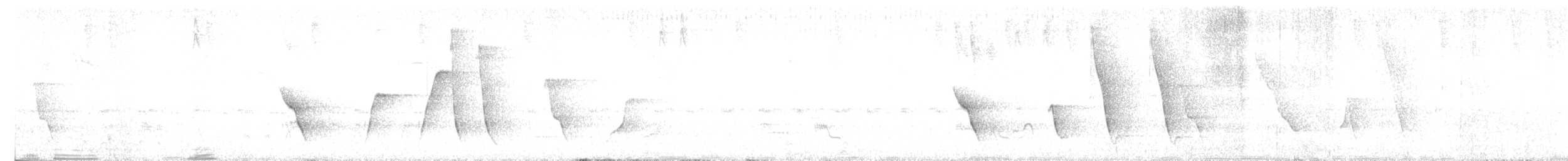 Корніхон західний - ML619759017