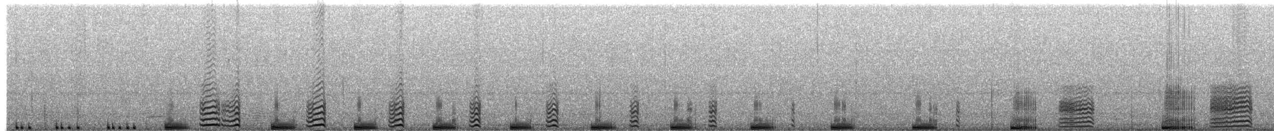 chřástal australasijský - ML619759744