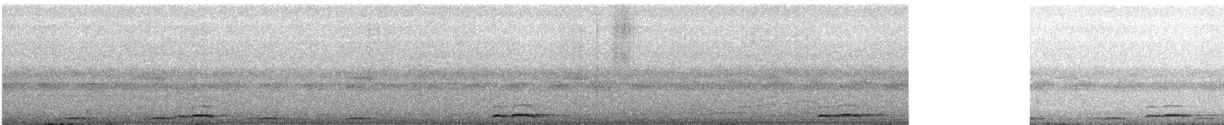 蘭嶼角鴞 - ML619760124