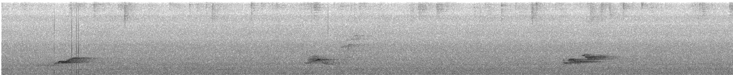 Amami Thrush - ML619760219