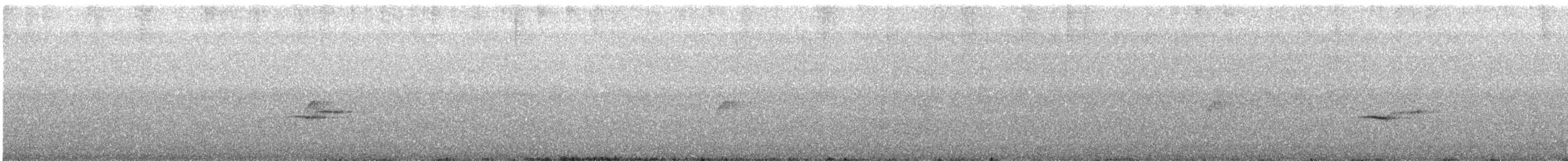 Papamoscas de las Ryukyu - ML619760684