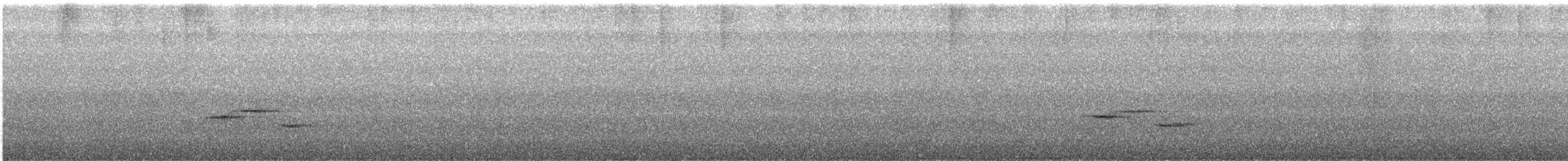 Papamoscas de las Ryukyu - ML619760719