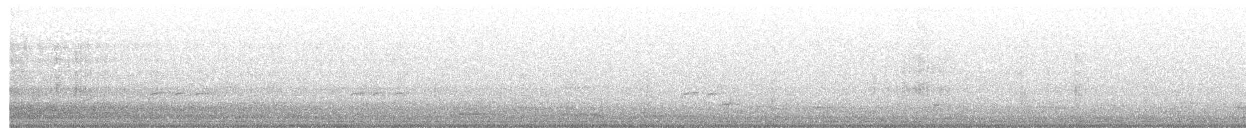 blåmaskehonningeter - ML619761225
