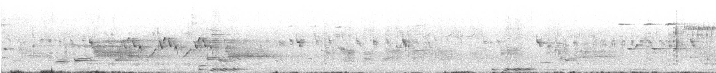 pygmérørdrum - ML619762236