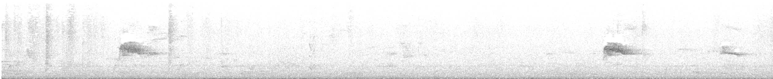 Zostérops à dos gris - ML619762713