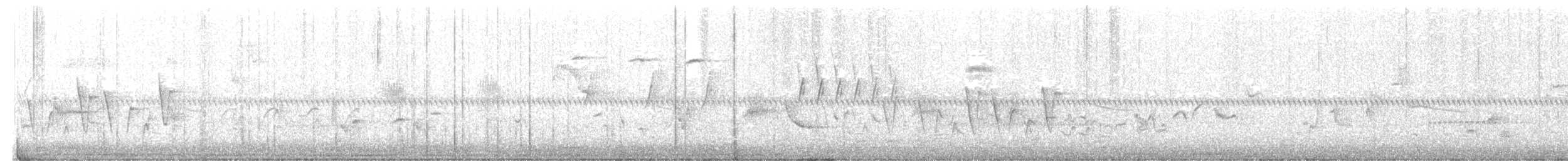 Connecticut Warbler - ML619763659