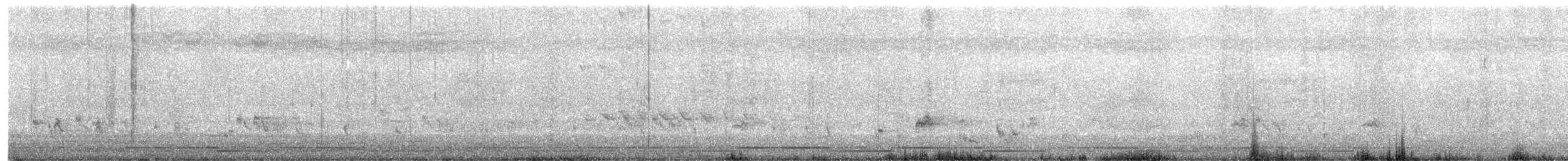 黑領椋鳥 - ML619764595