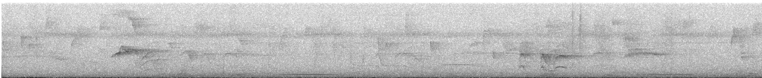 holub šedočelý - ML619764618