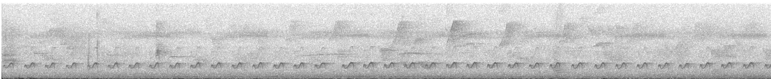 Spotted Puffbird - ML619764996