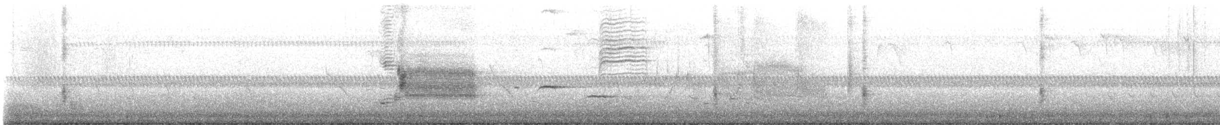 Oriole des vergers - ML619766643