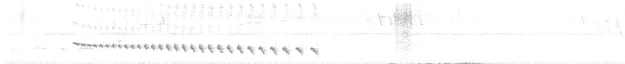 Grauband-Ameisenvogel - ML619767112