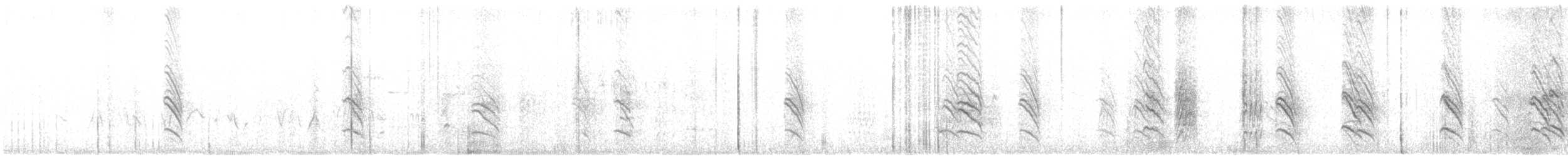 Ясківка білолоба [група pyrrhonota] - ML619768672
