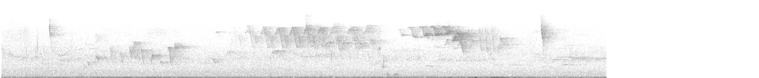 Paruline à gorge grise - ML619770024