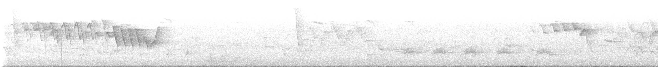 Paruline à gorge grise - ML619770070