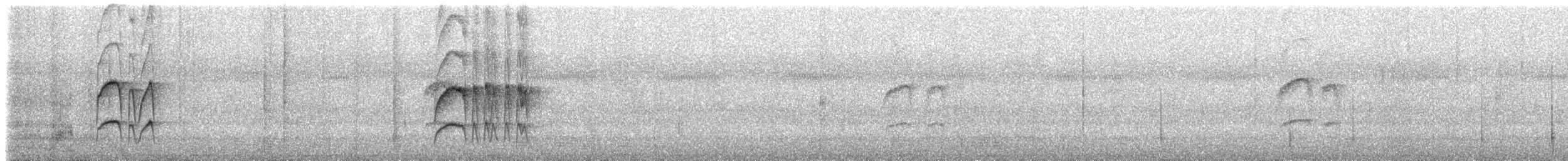 Moucherolle hirondelle (ferruginea/sclateri) - ML619770200